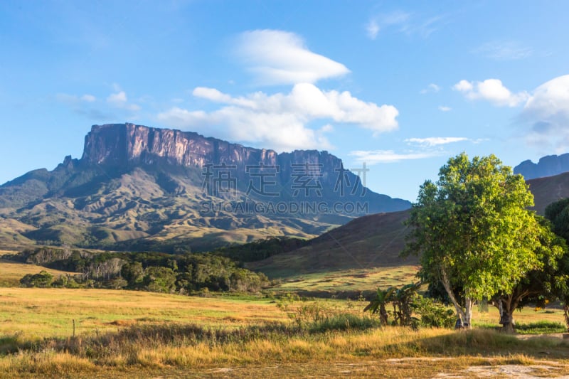 罗赖马山,罗赖马州,平顶山区,平顶山,canaima,委内瑞拉,南美,水平画幅,无人,户外