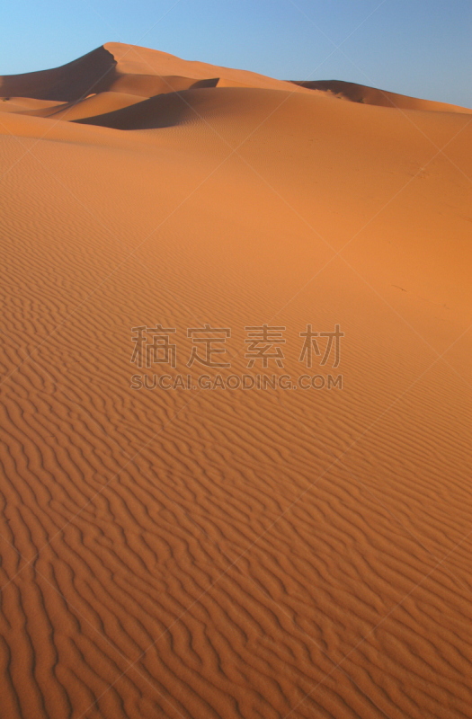 撒哈拉沙漠,巴禅沙丘,erg chebbi dunes,自然,垂直画幅,留白,褐色,地形,沙子,无人