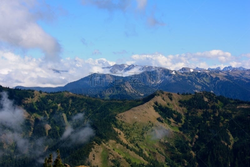 奥林匹克国家公园,美国西北太平洋地区,自然,华盛顿州,飓风山脊,图像,奥林匹克山,美国,无人,户外