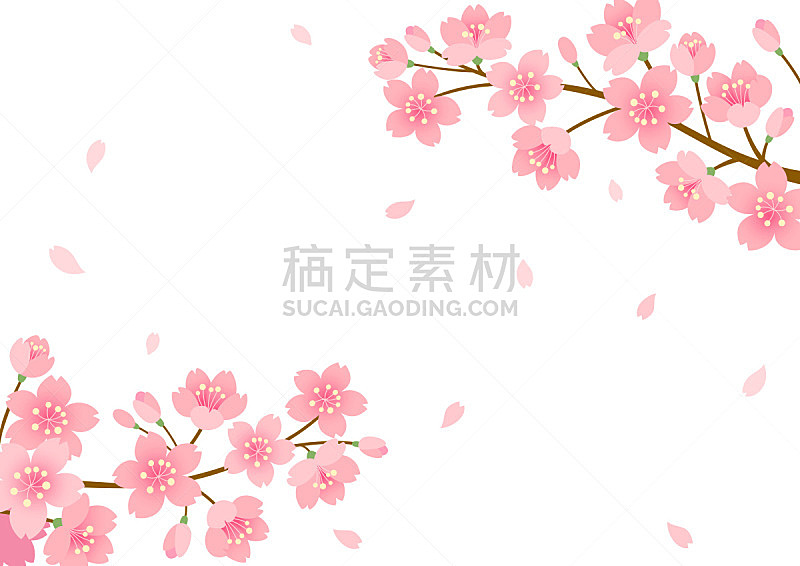 樱桃树,背景,边框,浪漫,韩国,3到4个月,植物,户外,桃树,樱花