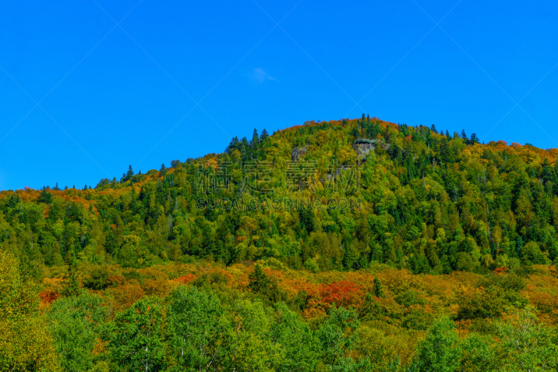 山,森林,塔伯拉山滑雪场,国内著名景点,橙色,公园,加拿大,枝繁叶茂,魁北克,湖