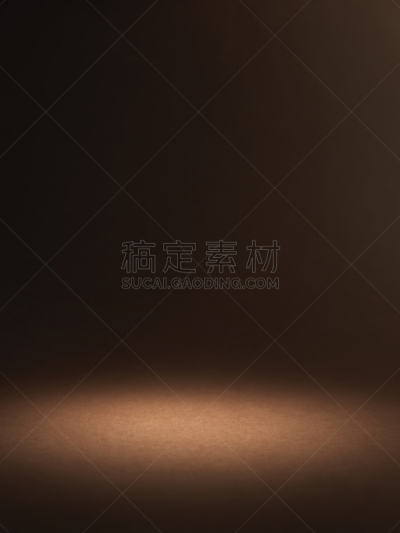 垂直画幅,聚光照明,背景聚焦,选择对焦,留白,褐色背景,褐色,无人,聚光灯,嵌入式普通灯具