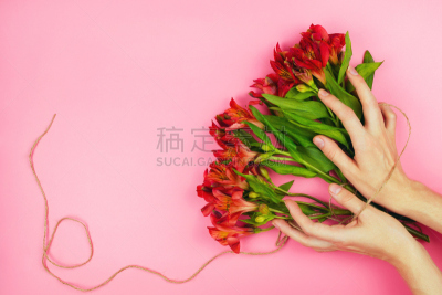 Red flowers in girl's hands on pink background. Concept of present or flower arranger. Red alstroemerias, flat lay, copyspace.