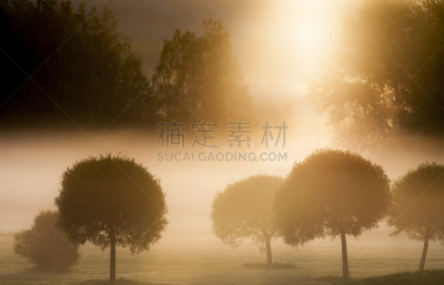风景,高尔夫球运动,早晨,埃斯波,水平画幅,黎明,无人,背景,多色的,雾