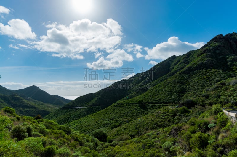 公园,特内里费岛,远古的,森林,路,加那利群岛,第三纪,峭壁,常绿植物,沟壑