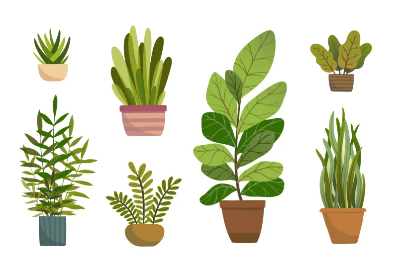 绘画插图 房屋 平坦的 室内植物 矢量 盆栽植物 植物群 多色的 收集 布置图片素材下载 稿定素材 绘画插图 房屋 平坦的 室内植物 矢量 盆栽植物 植物群 多色的 收集 布置图片素材下载 稿定素材
