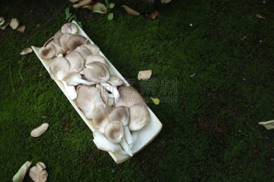 蘑菇,竹子,蔬菜,篮子,清新,自然界的状态,背景分离,食品,泰国,成分