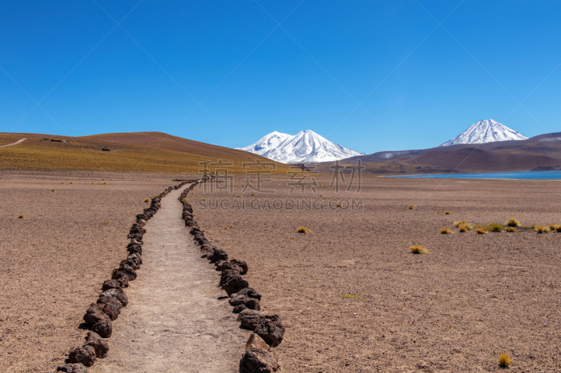 智利,火山,阿塔卡马沙漠,湖,苏格兰高地,国内著名景点,野生动物保护区,南美,弗拉明戈舞,伪装