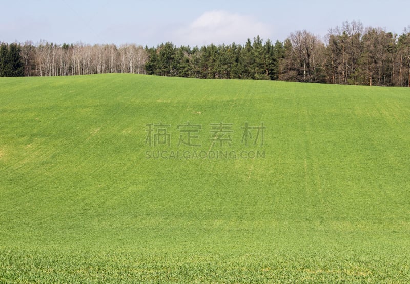 天空,绿色,斯普林费德,尼斯,美,水平画幅,云,山,无人,夏天