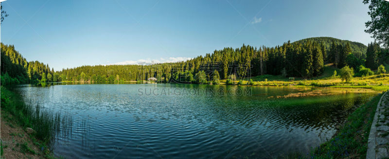 湖,黑色,阿尔特温,boundary waters canoe area,雪松,留白,水平画幅,无人,早晨,夏天