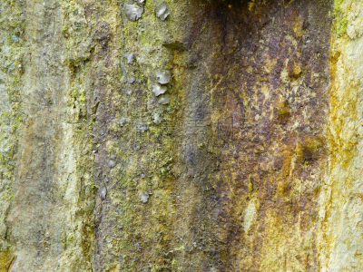 生锈的,岩石,苔藓,水平画幅,纹理效果,无人,石灰石,户外,特写,岩石类型