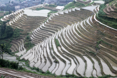 龙脊梯田,广西壮族自治区,梯田,稻,中国,壮族,瑶族,苗族,龙胜,阳朔