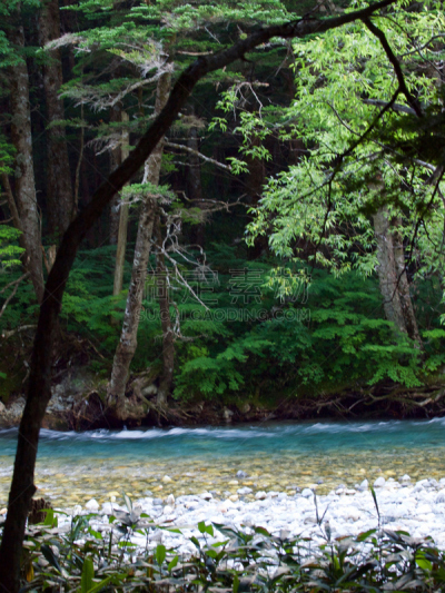 长野县,河流,梓川,自然,垂直画幅,日本,夏天,户外,徒步旅行,山