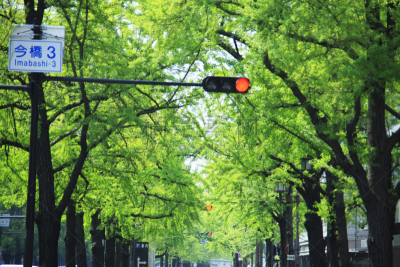 酒店,交通标志,御堂筋,道路信号灯,红灯,大阪市,银杏,大阪府,自然,城镇景观