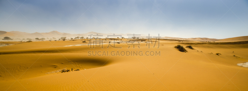 红色,沙丘,纳米比亚,苏丝斯黎,风景,纳米布沙漠,自然,野生动物,水平画幅,沙子