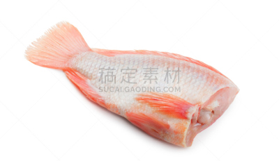 鱼类,白色背景,罗非鱼,红色,砍头的,分离着色,酸,水平画幅,巨大的,生食