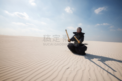 剑道,勇士,传统装甲,剑,动物手,日本武道馆,袴,面貌相似的人,合气道,坐