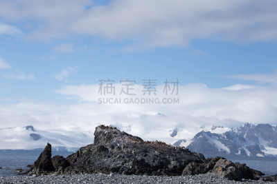 大群动物,南极洲,帽带企鹅,设得兰群岛,南,水,天空,风,气候,雪