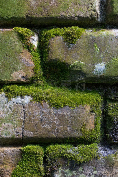 砖墙,古老的,苔藓,绿色,垂直画幅,石墙,纹理效果,风化的,无人,块状