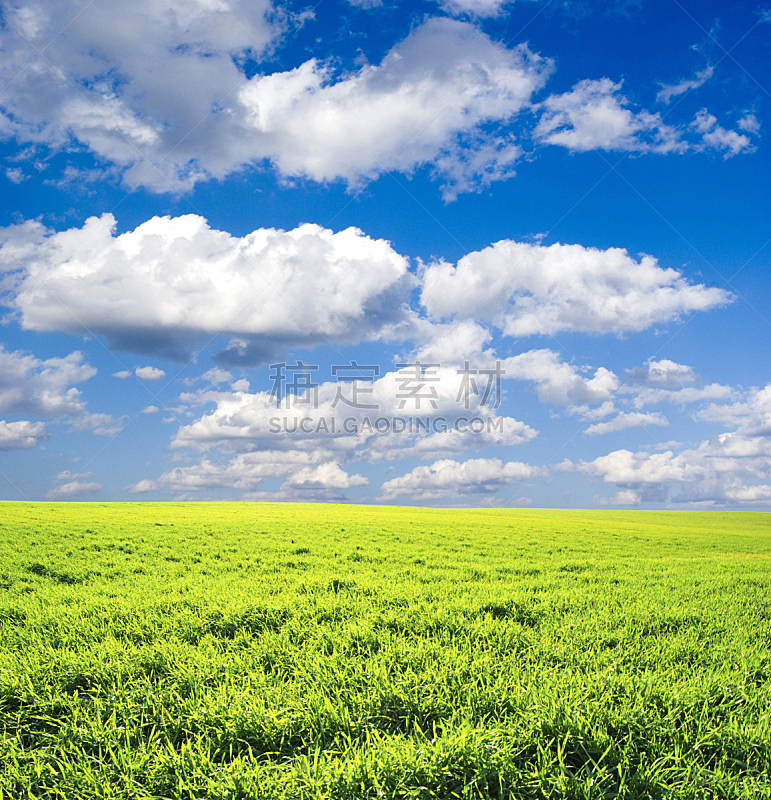 地形,垂直画幅,天空,风,无人,草坪,户外,草,田地,植物