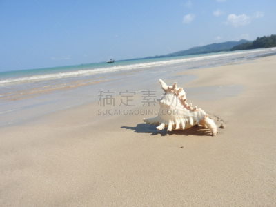 斯特兰德,自然,水,水平画幅,沙子,套色版,夏天,海岸地形,异国情调,户外