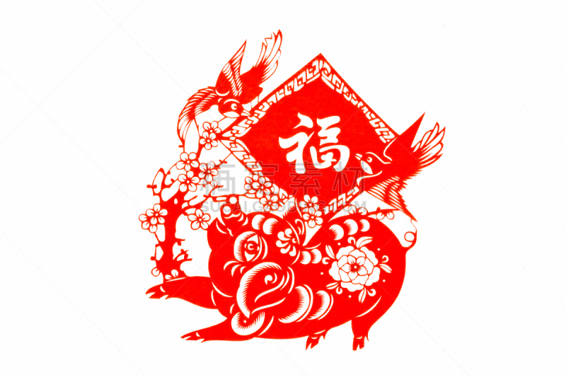 猪,动物,传统,春节,新年前夕,猪年,切断