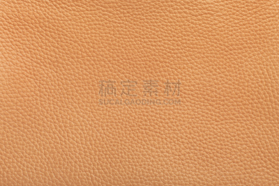动物皮,纹理,式样,水平画幅,纺织品,衣服,抽象,装饰物,动物身体部位,皮革