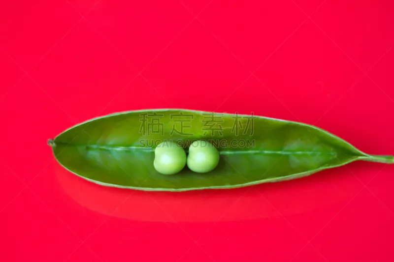 一模一样 红色背景 两个物体 活力 豌豆荚 概念和主题 豌豆 水平画幅 绿色 无人图片素材下载 稿定素材 一模一样 红色背景 两个物体 活力 豌豆荚 概念和主题 豌豆 水平画幅 绿色 无人图片素材下载 稿定素材