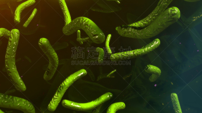 结核杆菌,病毒,大肠杆菌,沙门菌,分枝杆菌,水平画幅,小的,微生物学,绘画插图,人