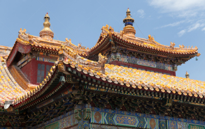 雍和宫,雍和宫店,喇麻庙,朝拜者,亭台楼阁,纪念碑,灵性,水平画幅,古老的,特写