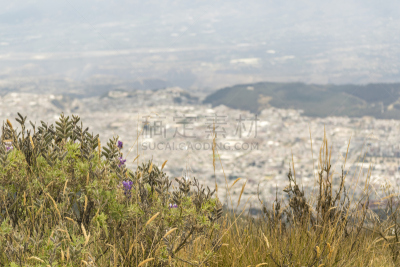 基多,山,地形,都市风景,厄瓜多尔,自然,安地斯山脉,水平画幅,皮钦查,无人