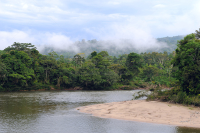 热带雨林,厄瓜多尔,风景,秘鲁亚马孙,南美,天空,气候,水平画幅,枝繁叶茂,无人