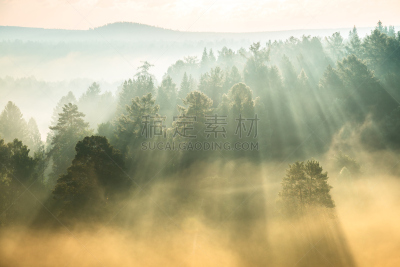 雾,太阳,阳光光束,天空,枝繁叶茂,早晨,夏天,明亮,高处,黎明