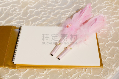 婚礼,鹅毛笔,结婚登记,留言簿,女人,水平画幅,人,仅成年人,书,男人