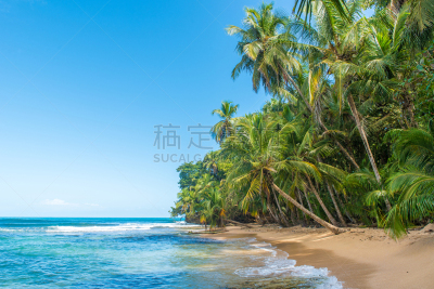 公园,哥斯达黎加,曼萨尼约,天体海滩,水,沙子,透过窗户往外看,古老的,野外动物,夏天