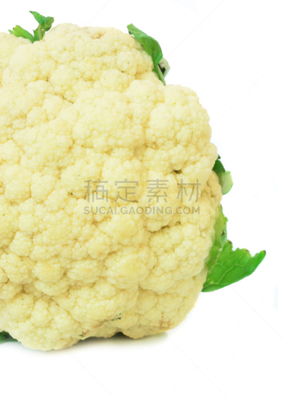 花椰菜,分离着色,白色背景,垂直画幅,素食,无人,油菜科,清新,叶子,灰葡萄孢菌