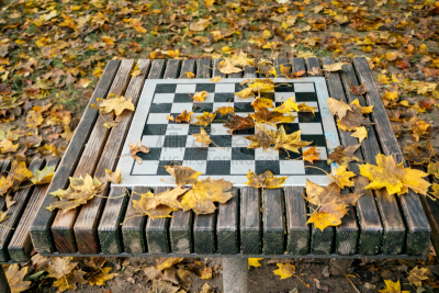经理,团体性运动,国际象棋,商务策略,领导能力,水平画幅,进行中,智慧,无人,想法