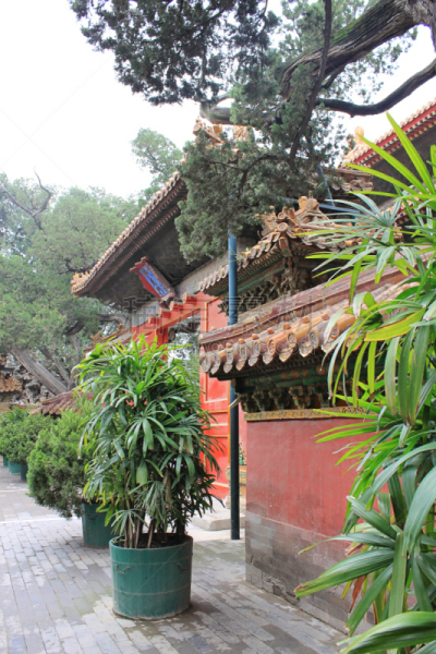 故宫,宫殿,博物馆,北京,园林,铜锣,禁止的,亭台楼阁,东,自然
