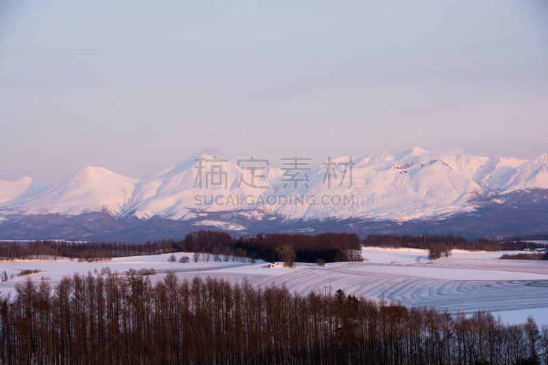 澳大利亚阿尔卑士山脉,天空,留白,水平画幅,夜晚,雪,无人,户外,耕地,树林