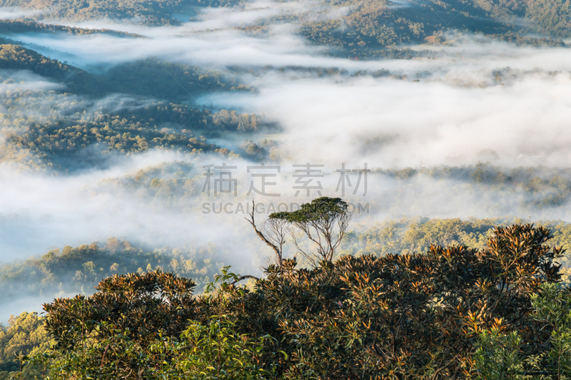 热带雨林,国家公园,天柏林山,云景,黄昏,澳大利亚,户外,雨林,天空,山谷