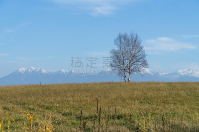 日本,秋天,北海道,美瑛町,农业,农场,富良野盆地,夏天,户外,天空