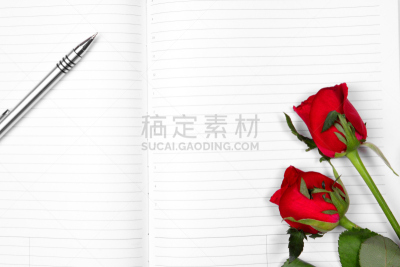 玫瑰,笔记本,红色,水笔,无人,白皮书报告,情书,旅行指南,圆珠笔,办公室