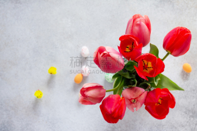 复活节,郁金香,鸡蛋,多色的,混凝土,平铺,背景聚焦,留白,抽陀螺,水平画幅