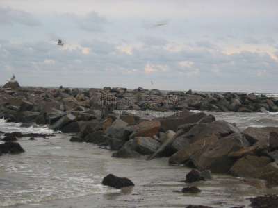 2002,韦兰运河,海藻灰,石勒苏益格-荷尔斯泰因,水平画幅,秋天,无人,德国,摄影,种植