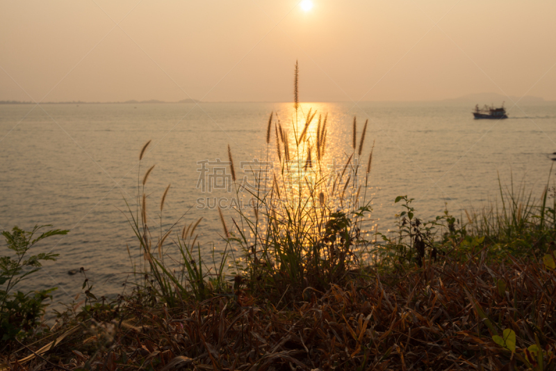 海洋,前面,卤虫属,渔夫,水,水平画幅,曙暮光,户外,草,特写