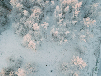 雪,乡村,图尔库,芬兰,有包装的,北欧,天空,水平画幅,云,无人