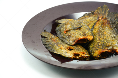 蛇皮纹,白色,昂布鲁瓦托马斯,打谷,水平画幅,有机食品,图像,高级西餐,肉,餐馆