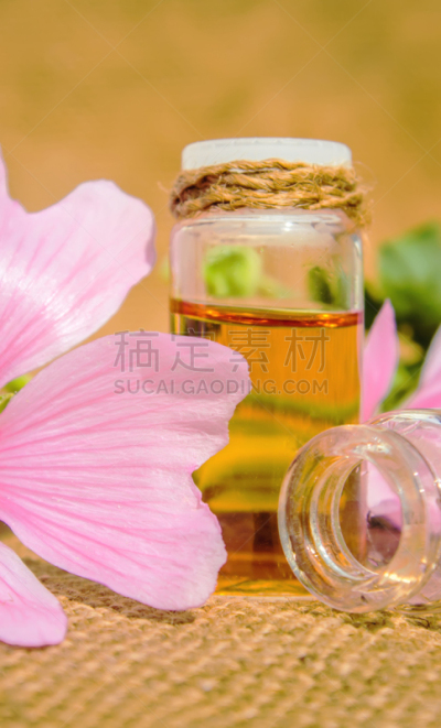 滴瓶,小的,瓶子,锦葵属,草药,香熏油,顺势医学,健康保健,驱虫剂,药