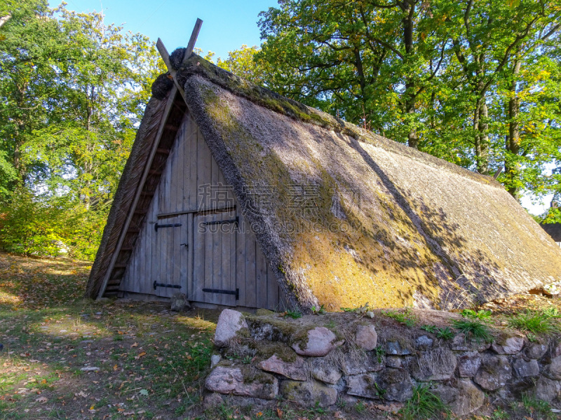 Goldener Herbst in der Lüneburger Heide bei Undeloh