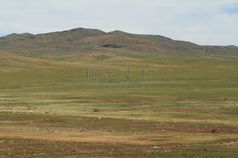 东欧大草原,自然,草地,柳树,水平画幅,野地,地形,山,无人,veldt